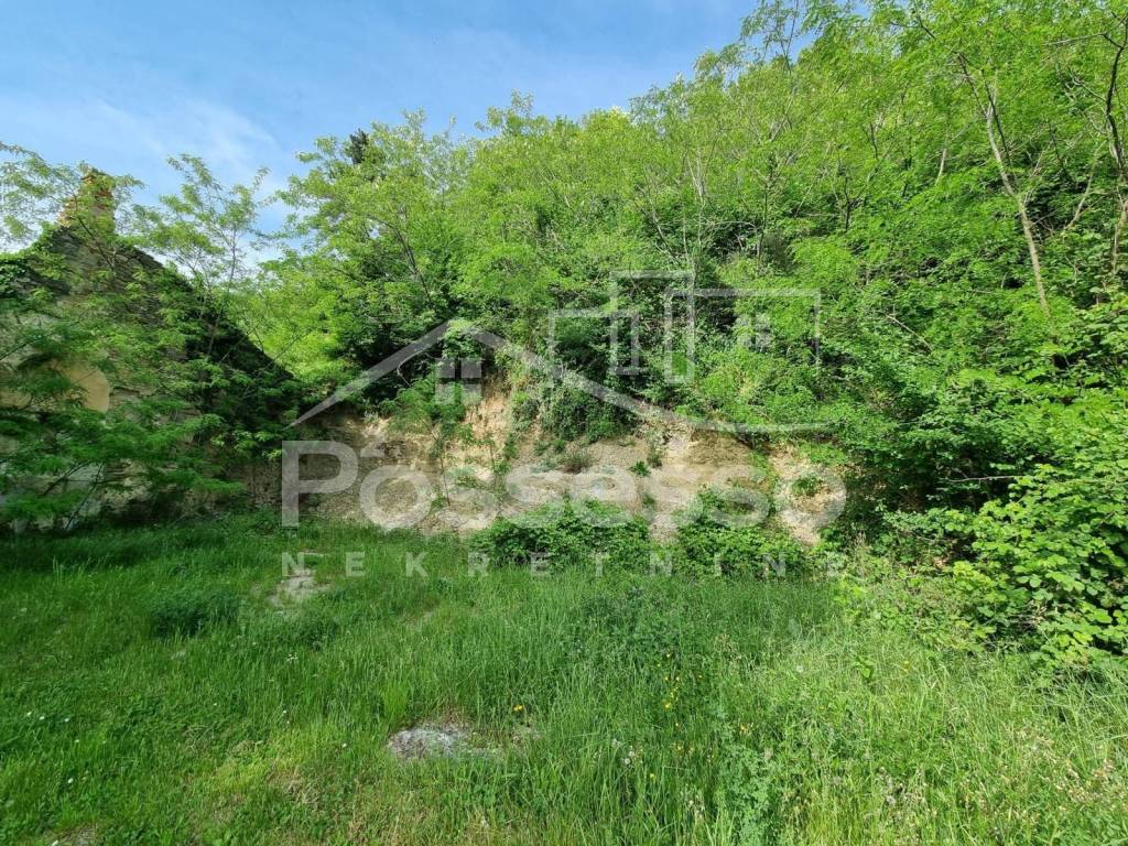 Buzet, Roč
