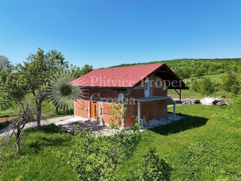 Family house, Sale, Rakovica, Rakovica