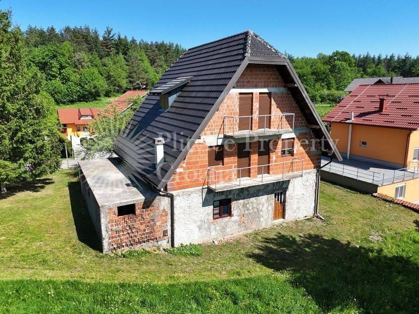 Family house, Sale, Rakovica, Rakovica