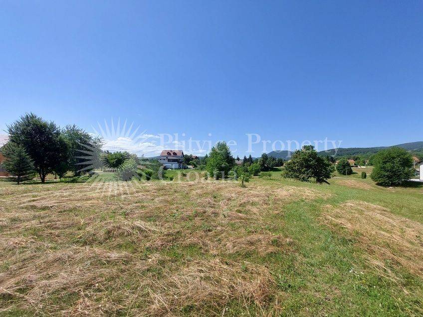 Family house, Sale, Rakovica, Rakovica