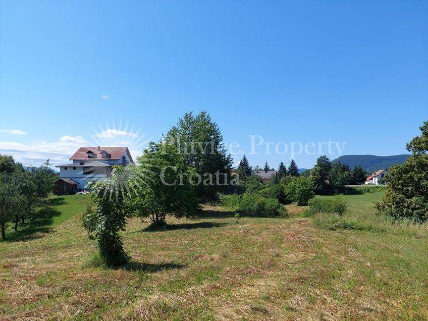 Family house, Sale, Rakovica, Rakovica