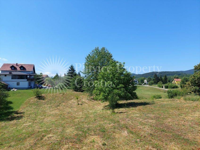Family house, Sale, Rakovica, Rakovica