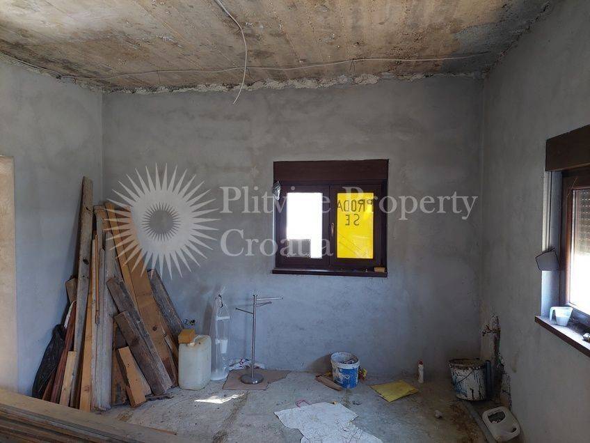Family house, Sale, Rakovica, Rakovica