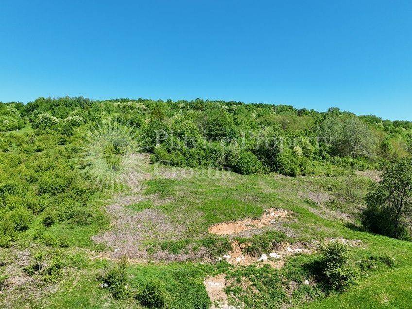 Plot for construction, Sale, Rakovica, Rakovica