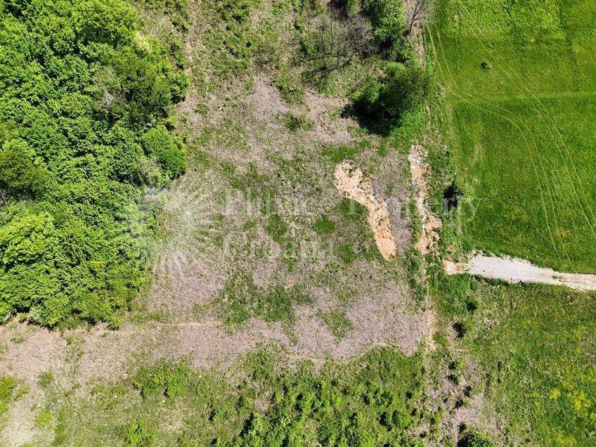 Plot for construction, Sale, Rakovica, Rakovica
