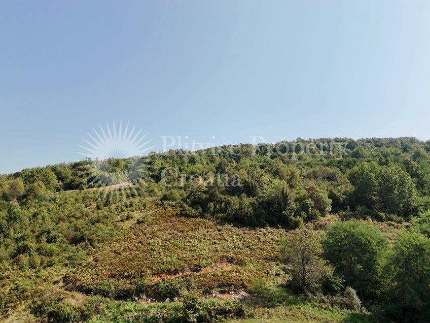 Plot for construction, Sale, Rakovica, Rakovica
