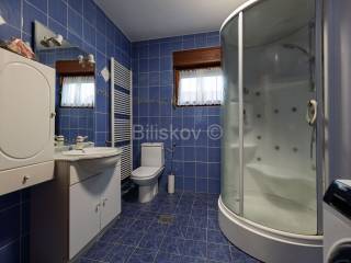 Detached house, Sale, Sveta Nedelja, Brezje