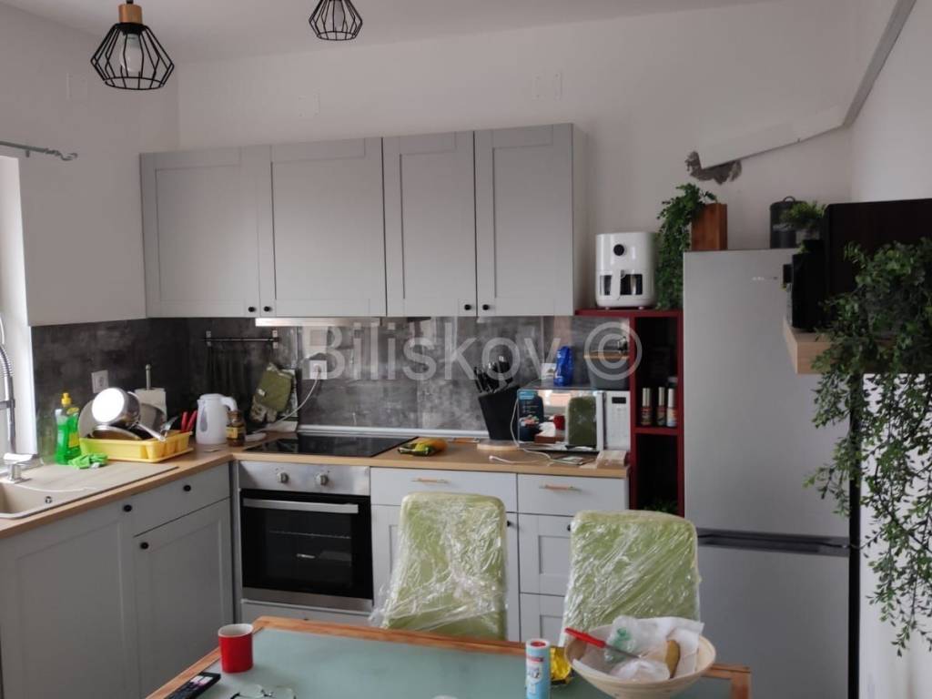 Detached house, Sale, Jasenice, Rovanjska