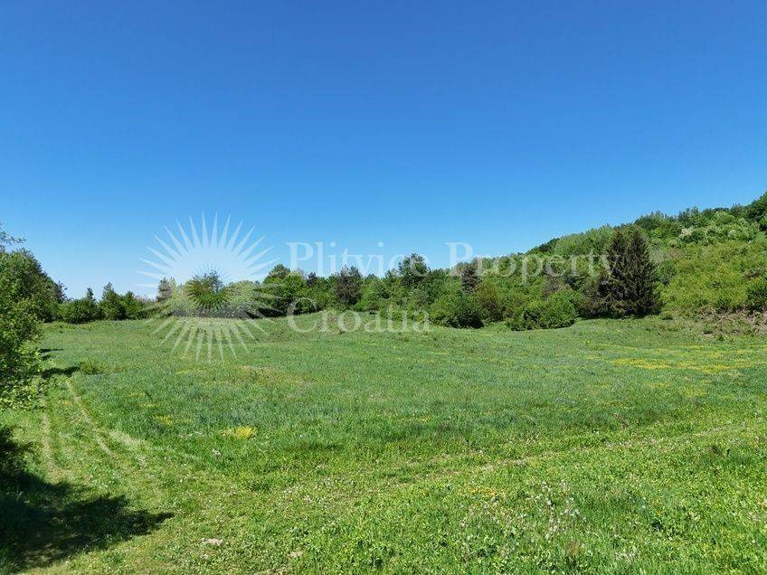 Plot for construction, Sale, Rakovica, Rakovica