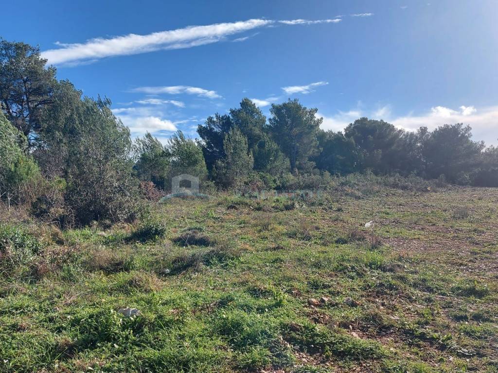 Plot for construction, Sale, Sveti Filip i Jakov, Sveti Filip i Jakov
