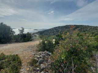 Agricultural plot, Sale, Tisno, Jezera