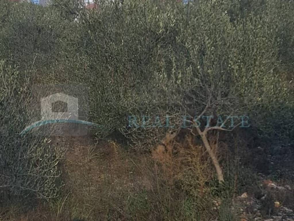 Plot for construction, Sale, Šibenik - Okolica, Bilice
