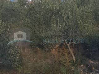 Plot for construction, Sale, Šibenik - Okolica, Bilice