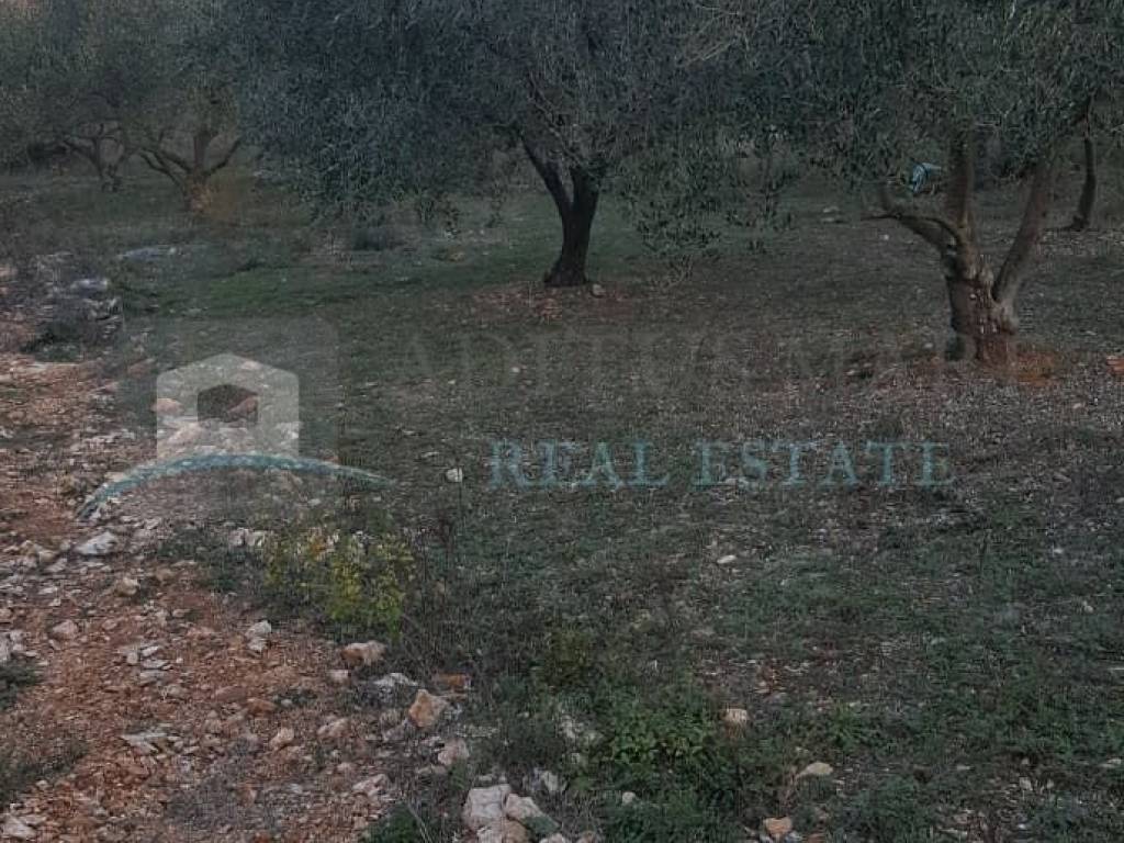 Plot for construction, Sale, Šibenik - Okolica, Bilice