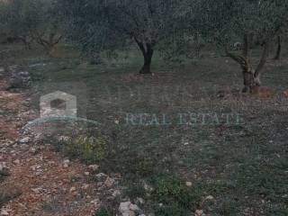 Plot for construction, Sale, Šibenik - Okolica, Bilice