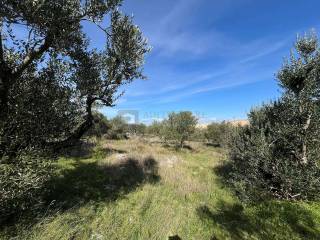 Plot for construction, Sale, Vodice, Vodice