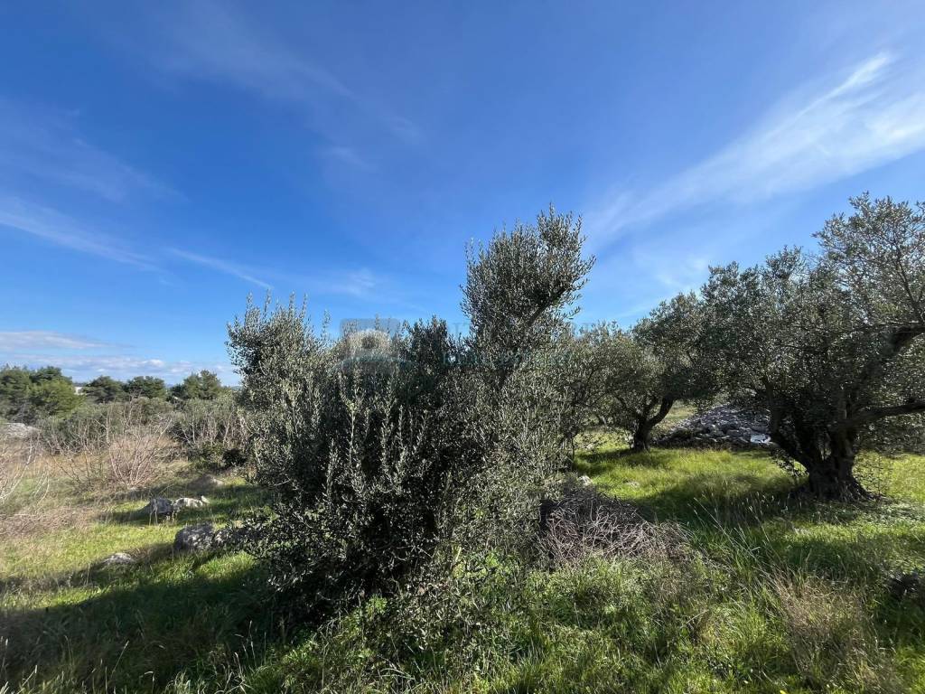 Plot for construction, Sale, Vodice, Vodice