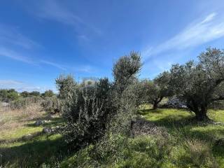 Plot for construction, Sale, Vodice, Vodice