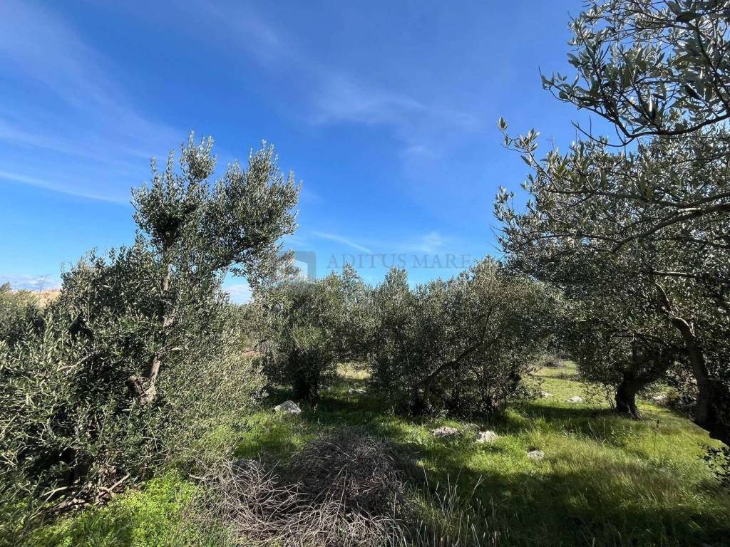 Plot for construction, Sale, Vodice, Vodice