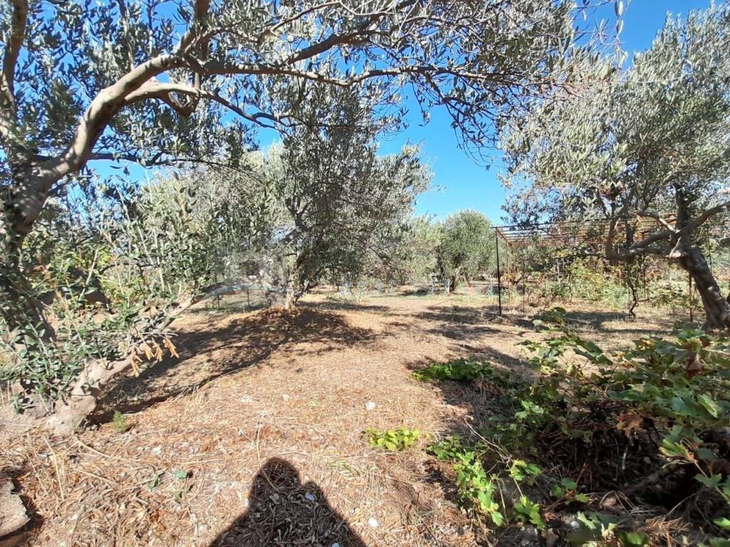Land plot - other, Sale, Vodice, Prvić Šepurine