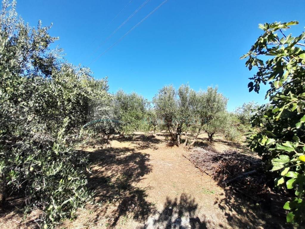 Land plot - other, Sale, Vodice, Prvić Šepurine
