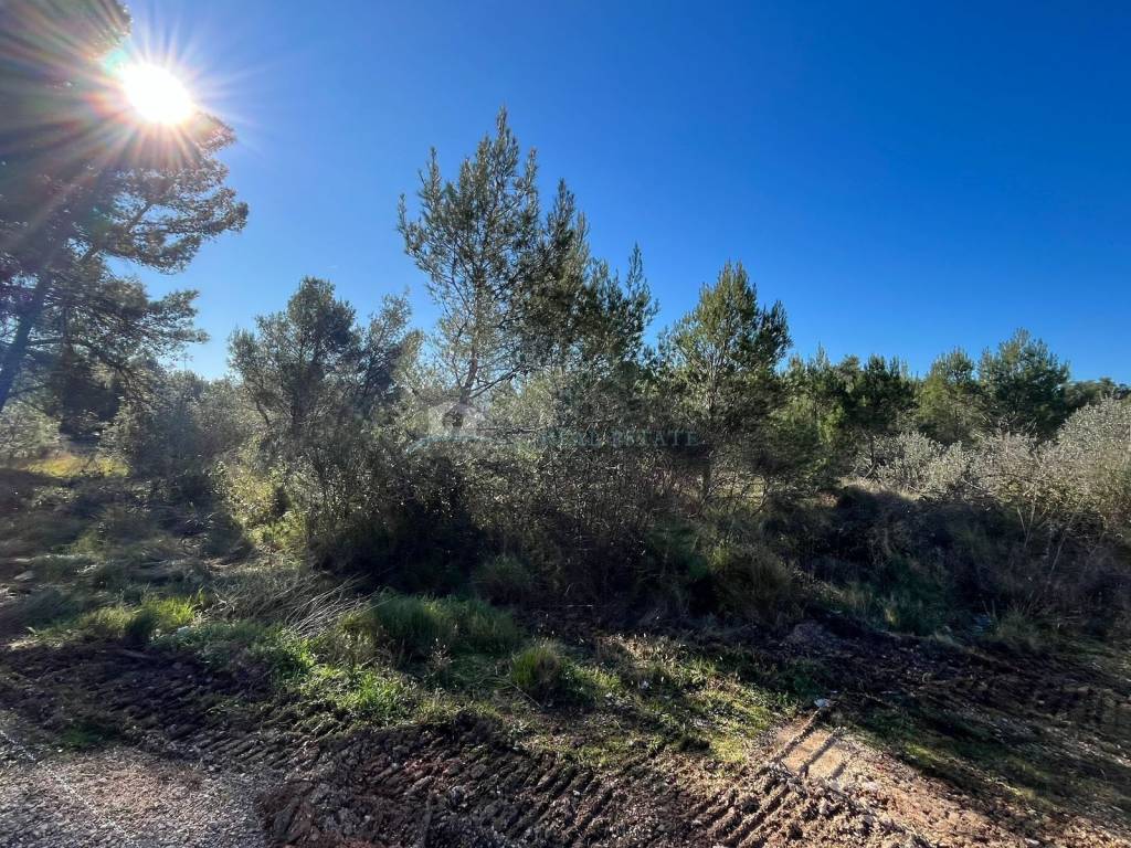 Plot for construction, Sale, Vodice, Srima