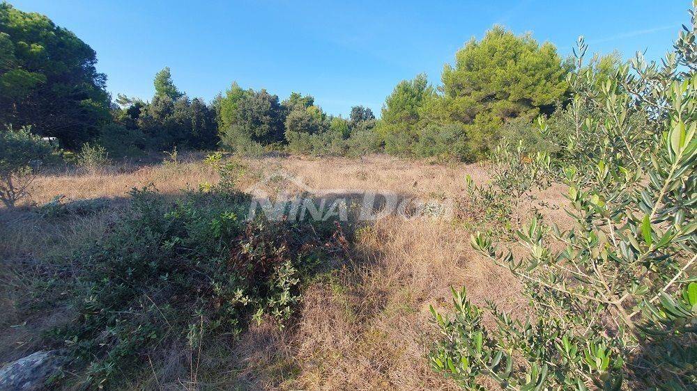 Agricultural plot, Sale, Vir, Vir