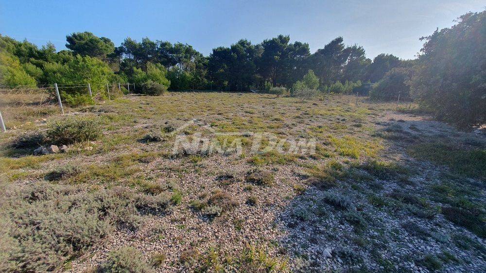 Agricultural plot, Sale, Vir, Vir