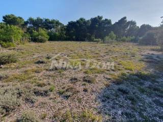 Agricultural plot, Sale, Vir, Vir