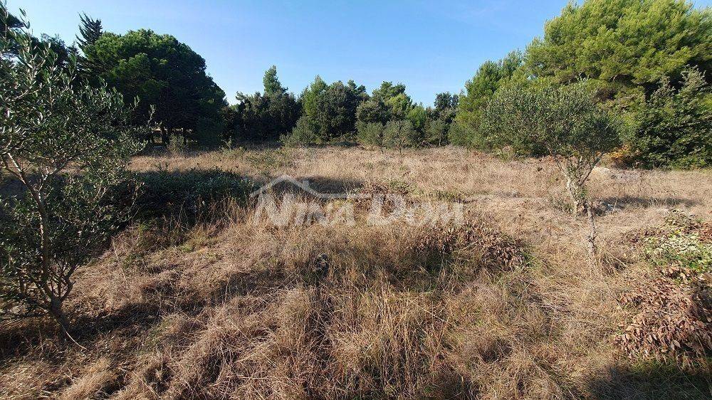 Agricultural plot, Sale, Vir, Vir
