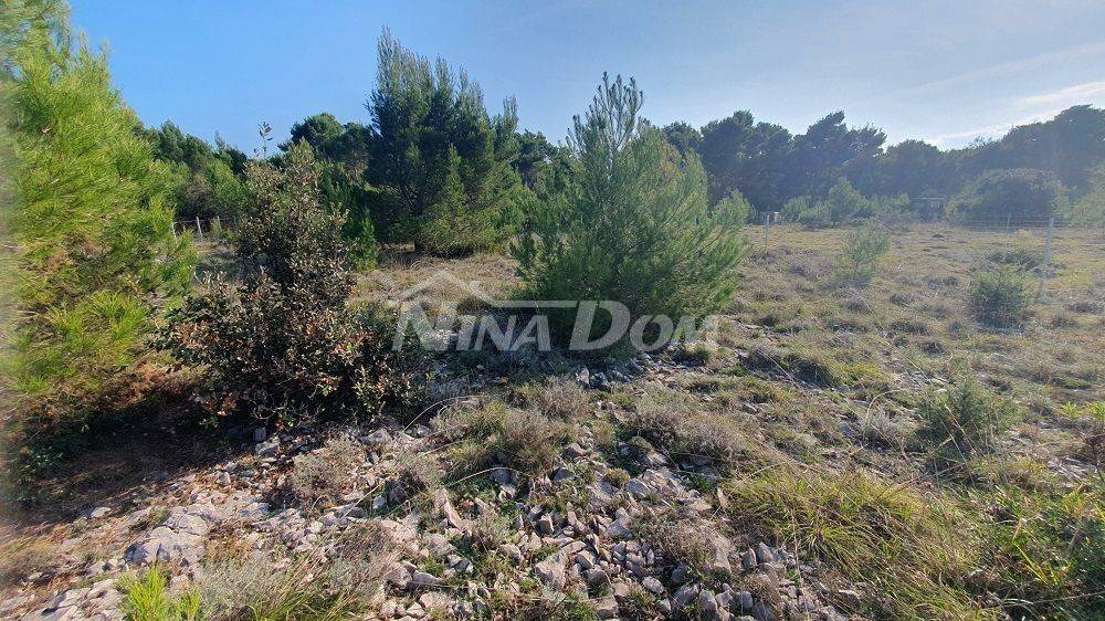 Agricultural plot, Sale, Vir, Vir