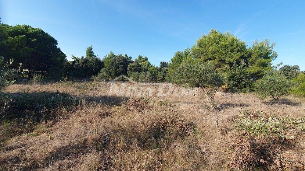 Agricultural plot, Sale, Vir, Vir