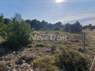 Agricultural plot, Sale, Vir, Vir
