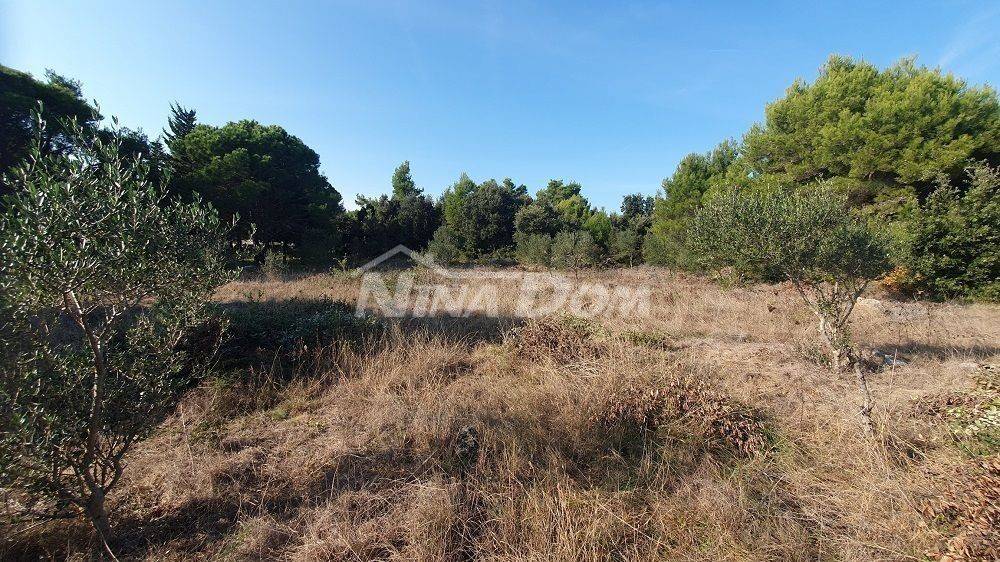 Agricultural plot, Sale, Vir, Vir