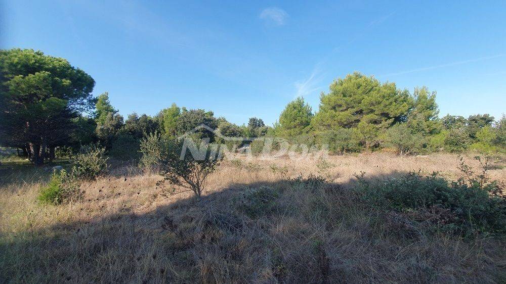 Agricultural plot, Sale, Vir, Vir