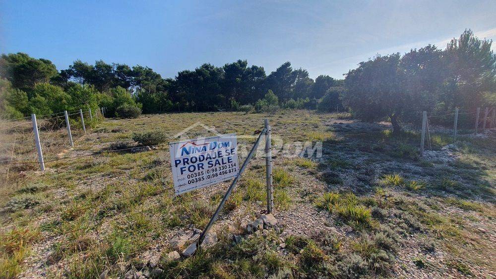 Agricultural plot, Sale, Vir, Vir