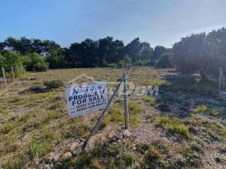 Agricultural plot, Sale, Vir, Vir