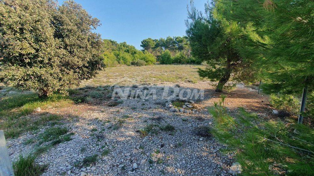 Agricultural plot, Sale, Vir, Vir