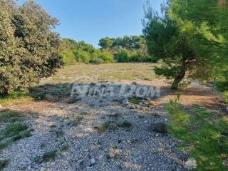 Agricultural plot, Sale, Vir, Vir