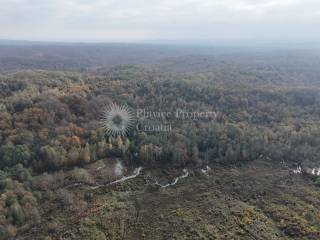 Agricultural plot, Sale, Gvozd, Gornja Trstenica