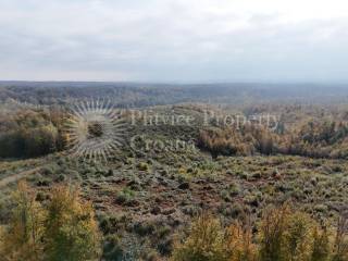 Agricultural plot, Sale, Gvozd, Gornja Trstenica