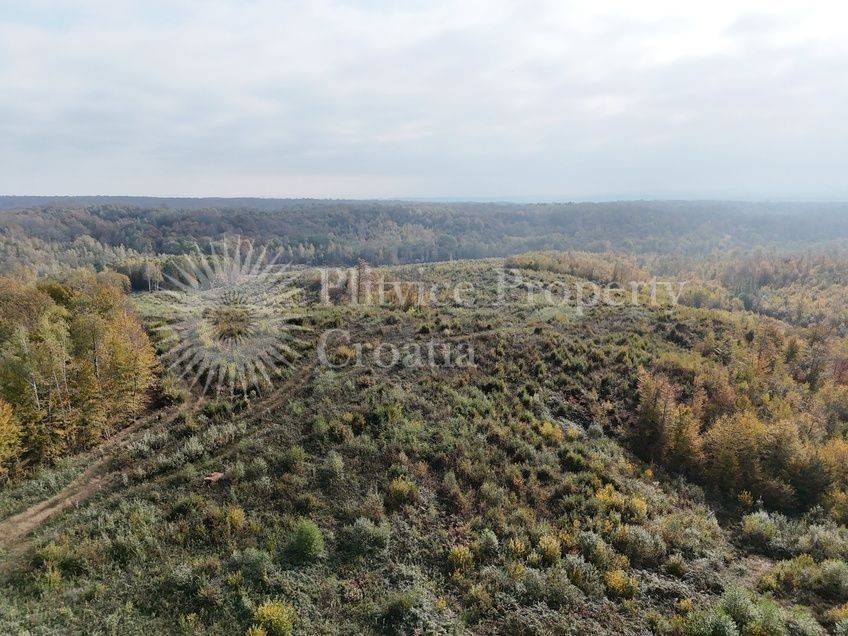 Agricultural plot, Sale, Gvozd, Gornja Trstenica