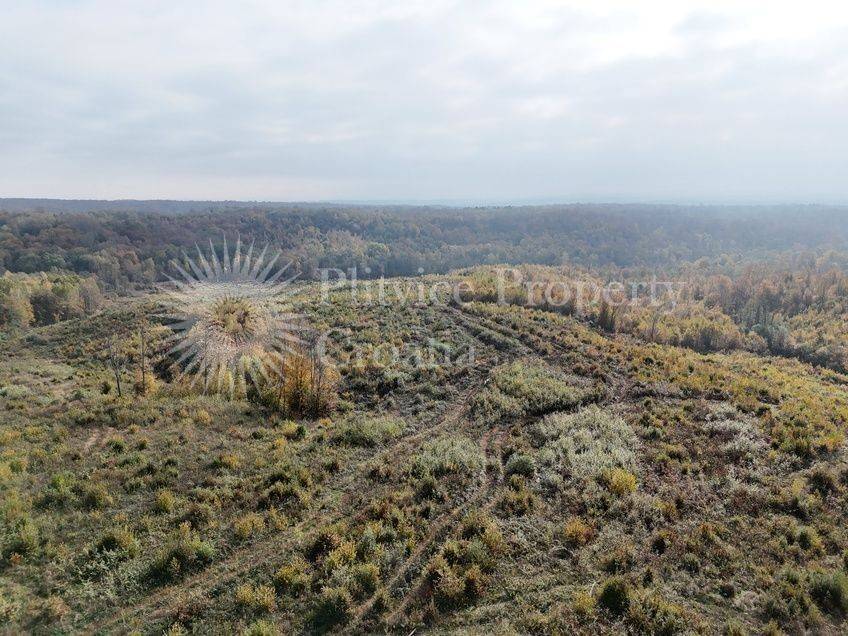 Agricultural plot, Sale, Gvozd, Gornja Trstenica