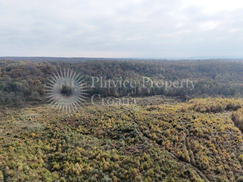 Agricultural plot, Sale, Gvozd, Gornja Trstenica