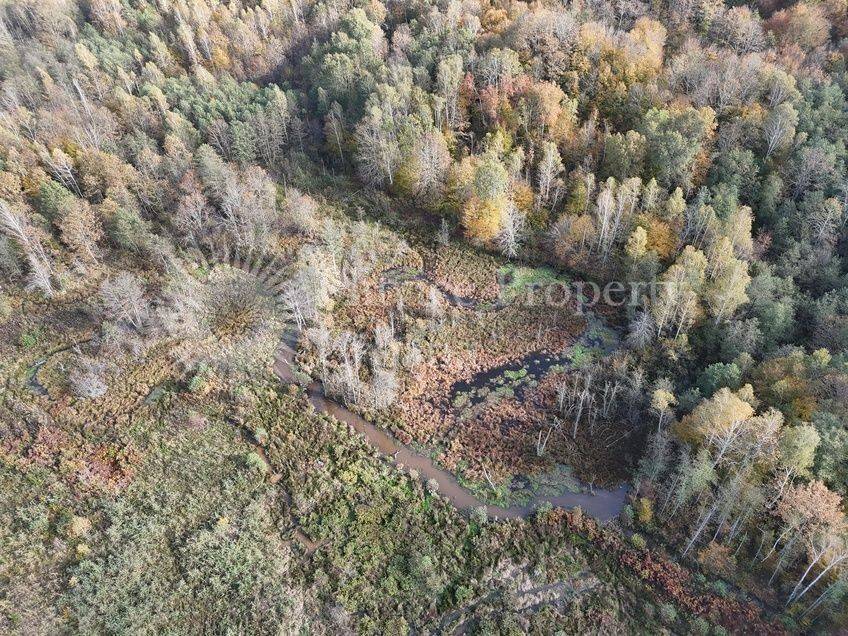 Agricultural plot, Sale, Gvozd, Gornja Trstenica