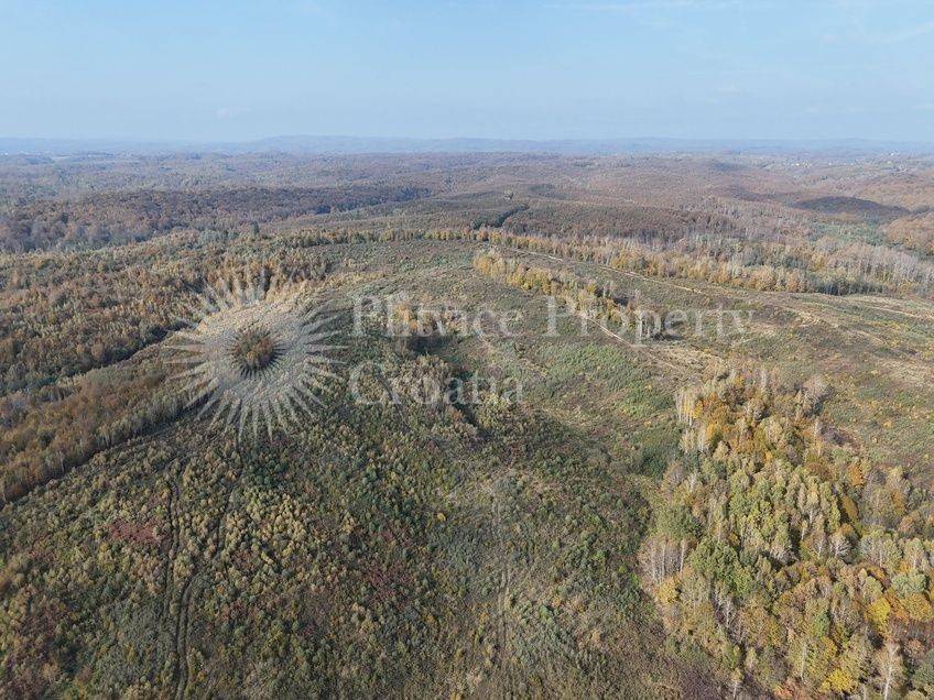 Agricultural plot, Sale, Gvozd, Gornja Trstenica