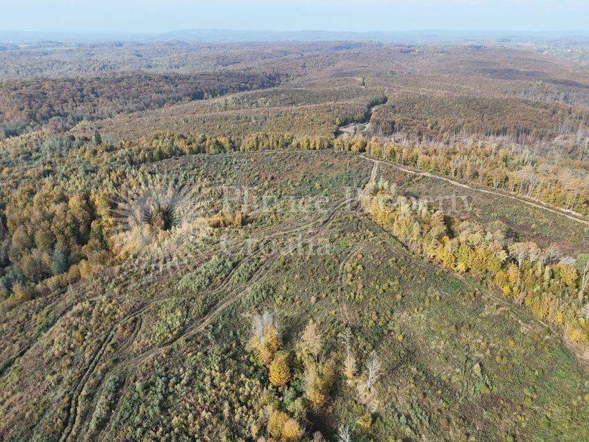 Agricultural plot, Sale, Gvozd, Gornja Trstenica