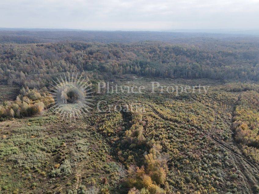 Agricultural plot, Sale, Gvozd, Gornja Trstenica