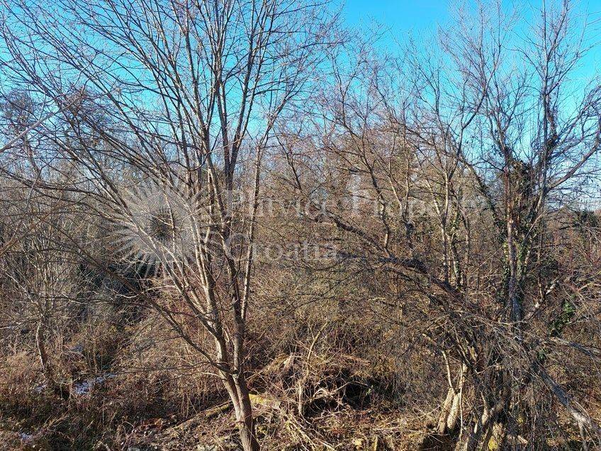 Plot for construction, Sale, Slunj, Slunj