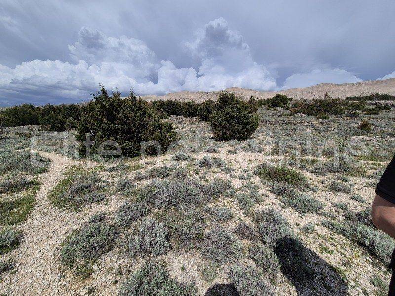 Construction plot for tourism, Sale, Pag, Pag